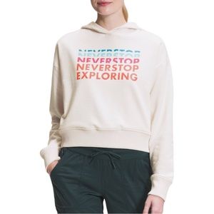 The North Face Logo Play Hoodie